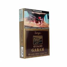 Gudang Garam Surya 16